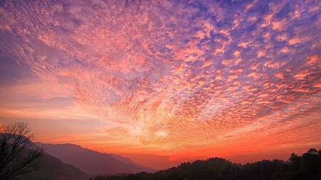 Mountain and Tree at sunset (Doi Chiang Dao)の写真素材
