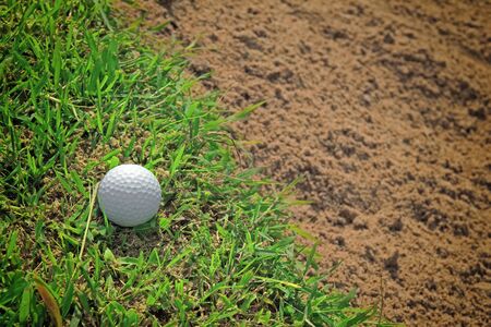 golf on greenの写真素材