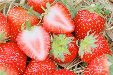 Fresh strawberriesの写真素材