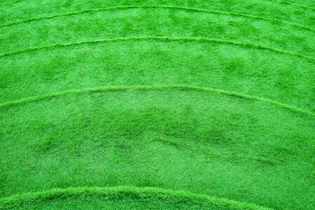 stairway covered with green grassの写真素材