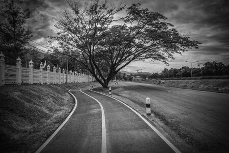 monochrome road for bicyclesの写真素材