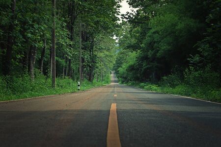 country road in the morning