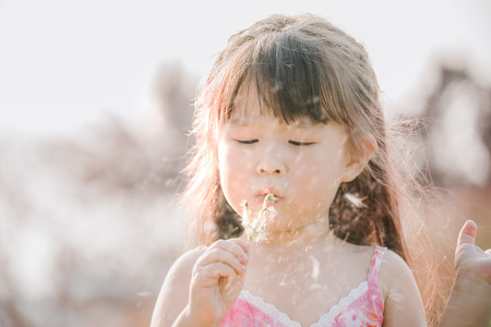 Little asian girl blowing away dandelion flowerの写真素材