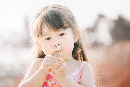 Little asian girl blowing away dandelion flowerの写真素材