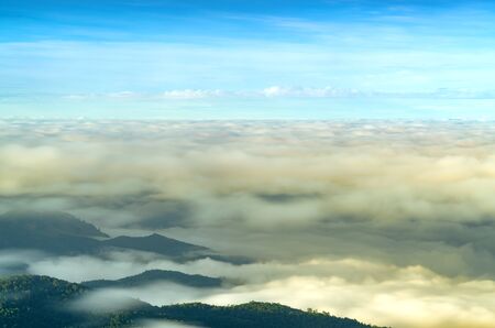 The fog at Doi inthanon Chiang mai Thailandの写真素材
