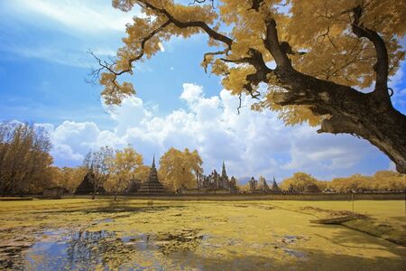 Sukhothai historical park at autumnの写真素材