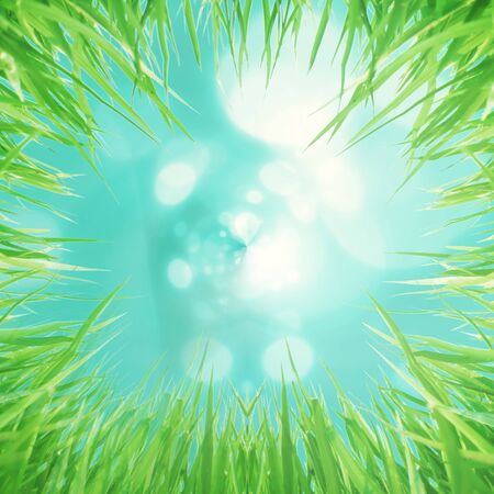 Grassの写真素材