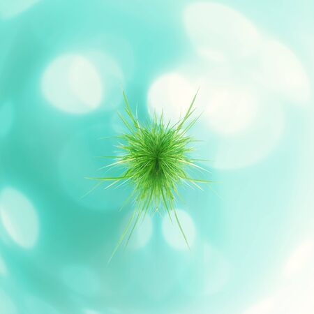Grassの写真素材