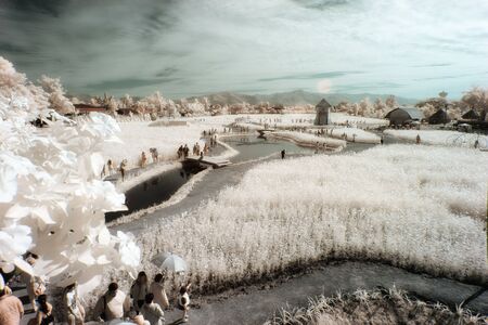 infrared landscape on a summer dayのeditorial素材