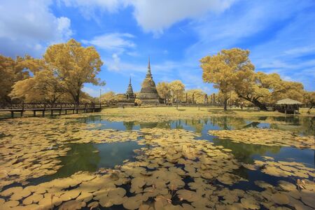 Sukhothai historical park at autumnの写真素材