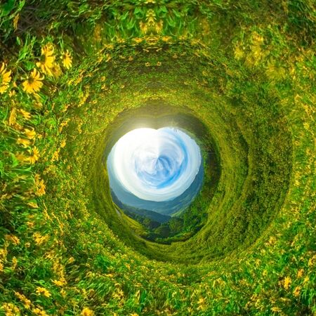 Circle panorama cosmos fieldの写真素材