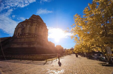 Wat Chedi Luang, Chiang mai Thailandの写真素材