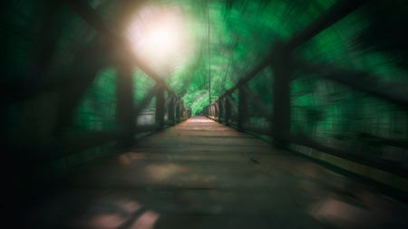 Old wooden bridge in the forestの写真素材