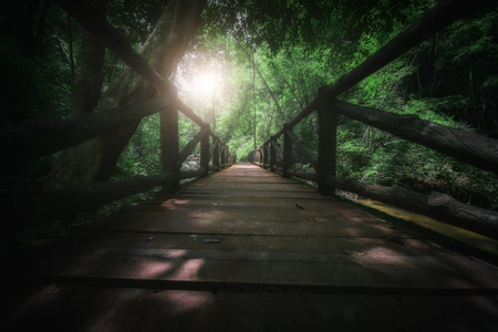 Old wooden bridge in the forestの写真素材
