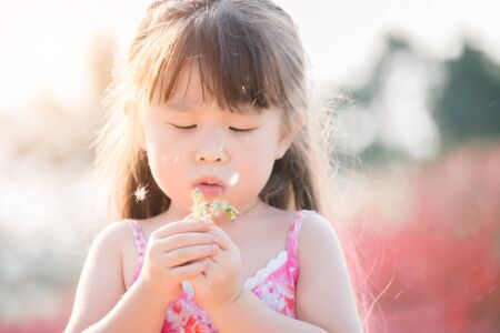 Little girl blowing dandelion in spring parkの写真素材