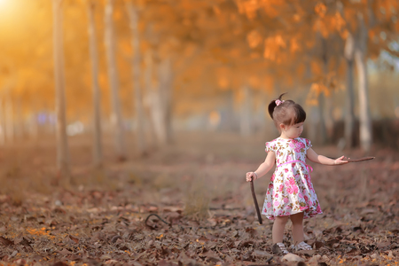 little girl in autumn summerの写真素材