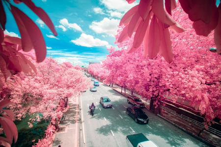 Traffic road in chiang mai thailandのeditorial素材