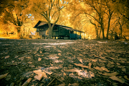 Abandoned houseの写真素材