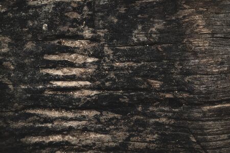 wooden backgroundの写真素材