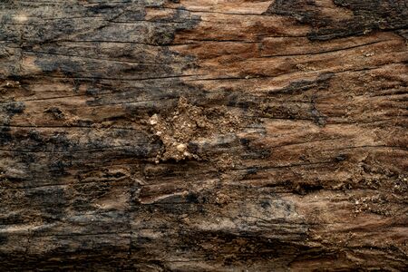 wooden backgroundの写真素材