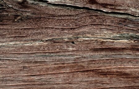 wooden backgroundの写真素材