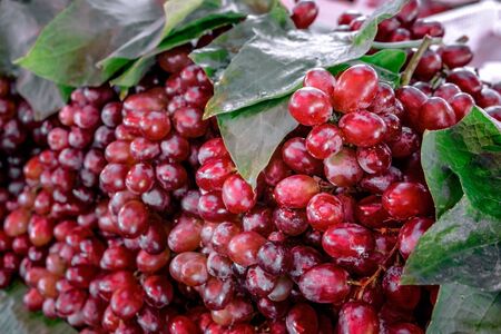 grapes on the marketの写真素材