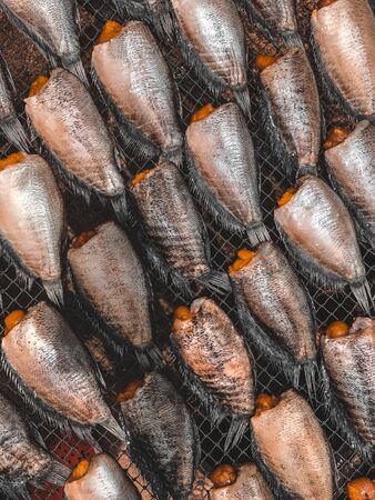 Dried fish in Thailandの写真素材