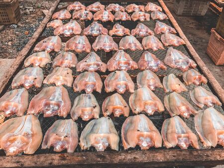 Dried fish in Thailandの写真素材
