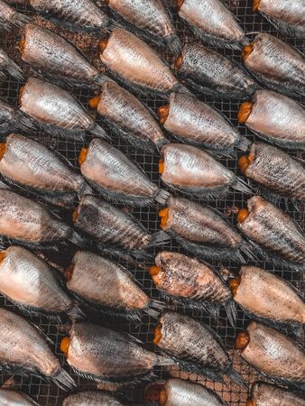 Dried fish in Thailandの写真素材