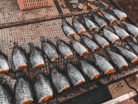 Dried fish in Thailand