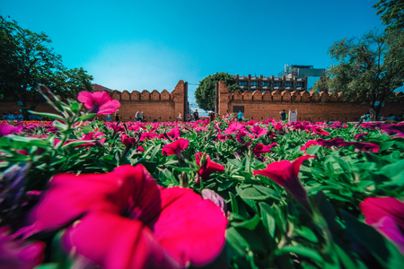 Thapae gate in Chiang mai Thailandのeditorial素材