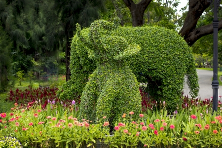 elephant , tree cuttingの写真素材