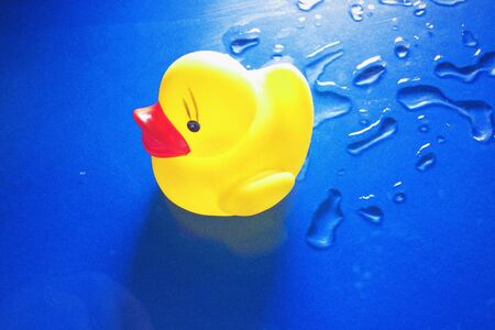 Yellow duckの素材