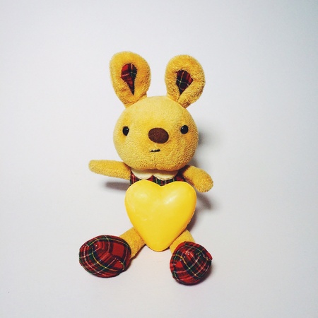 Litter rabbit holds a soap shape heart.の素材