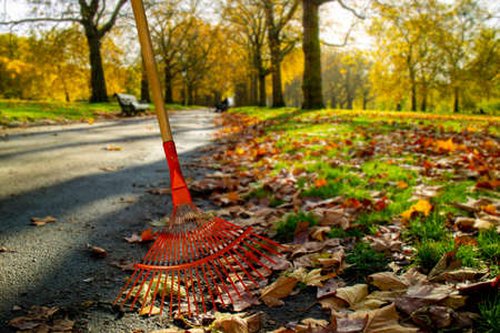 Gardening tools for cleaning garden such as rake on white background,  Seasonal yard clean up fall leaves with rake in autumn garden. Preaparing garden for winter,の写真素材