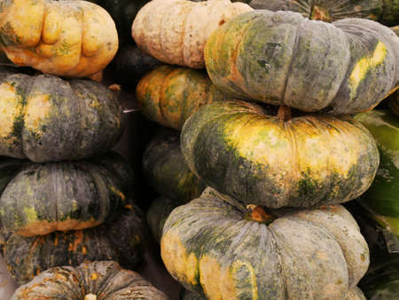 Pile of fresh Raw thai pumpkin  background texture