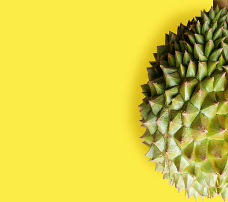 Whole Durian fruit On yellow backgroundの写真素材