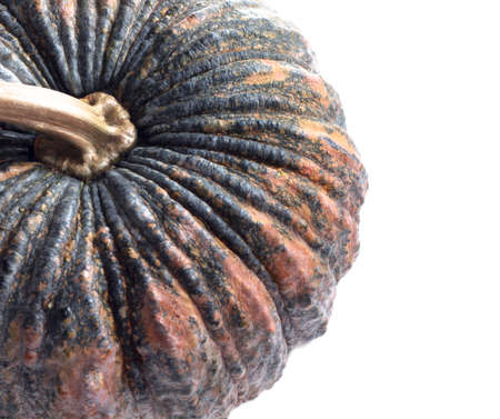 Pumpkin isolated on white backgroundの写真素材