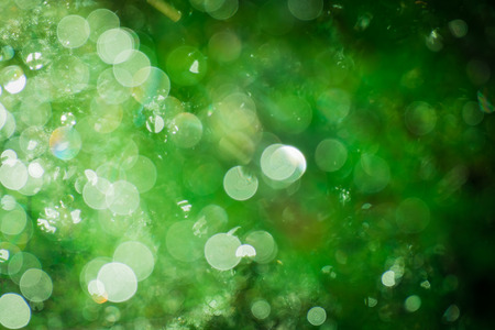 Green background with white bokehの写真素材