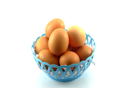 Blue Basket Egg white backgroundの写真素材