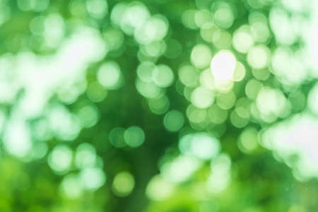 Green bokeh texture and backgroundの写真素材