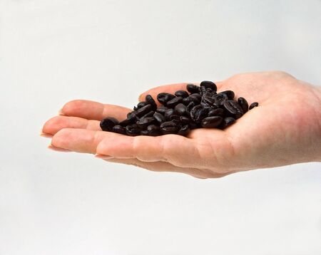 Female hand presenting freshly dark roasted gourmet coffee beans on a white backgroundの写真素材