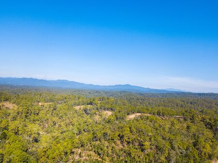 Aerial view forest and blue skyの写真素材