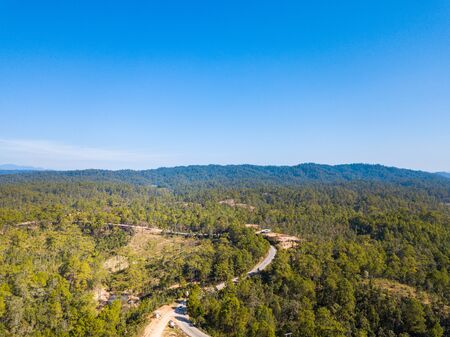 Aerial view forest and blue skyの写真素材