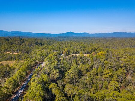 Aerial view forest and blue skyの写真素材