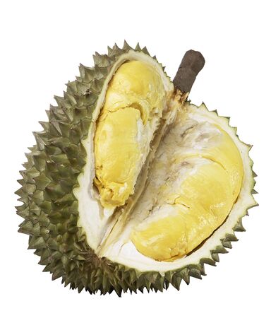 Durians cut through to see the yellow flesh. on the White Blackgroundの写真素材
