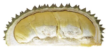 Durians cut through to see the yellow flesh. on the White Blackgroundの写真素材