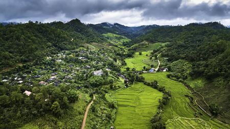 Growing green rice terrace Among the rich forests Of rural villages In Chiang Mai, Thailandの写真素材