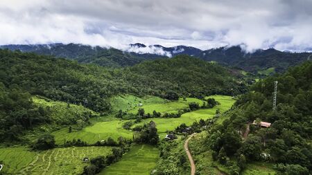 Growing green rice terrace Among the rich forests Of rural villages In Chiang Mai, Thailandの写真素材