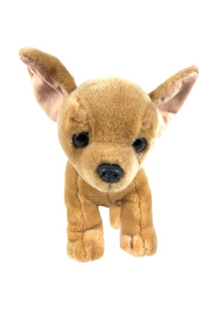Brown dog stuffed doll isolated on white backgroundの写真素材